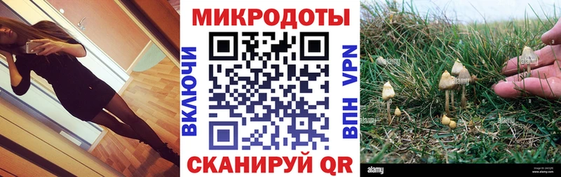 omg ссылки  Сарапул  Псилоцибиновые грибы мицелий 