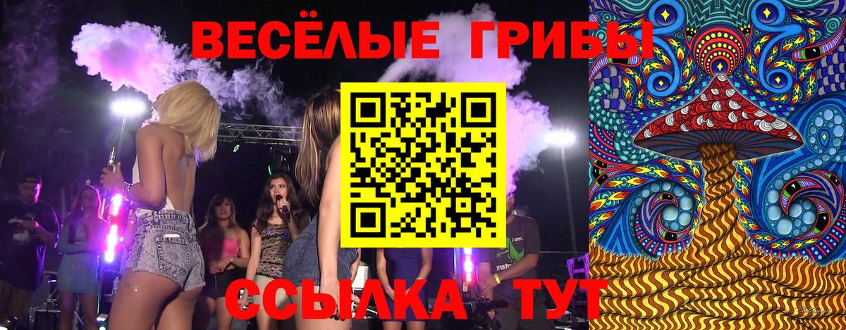 Псилоцибиновые грибы GOLDEN TEACHER Сарапул