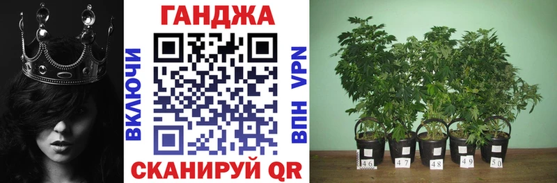 Бошки Шишки AK-47 Сарапул